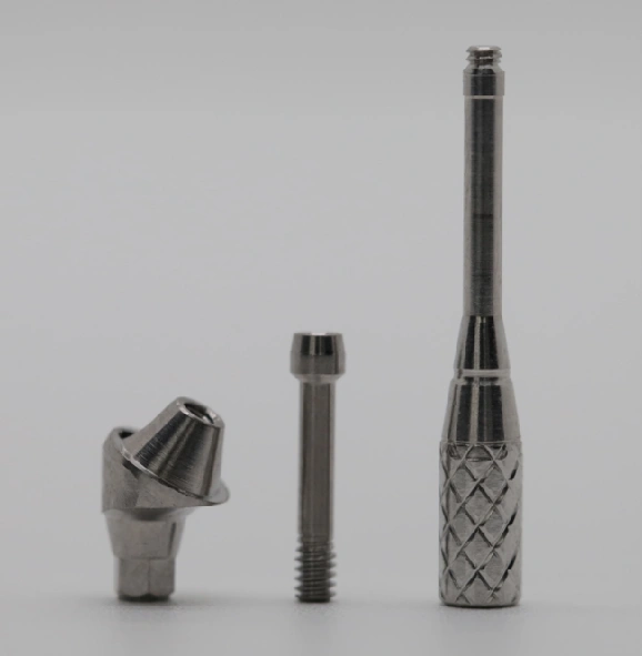 All Dental Abutments 1 Abutments Screws