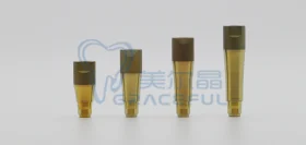 High-Precision Type H Dental Implant Intraoral & Lab Scan Body